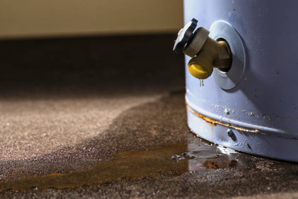 Best Ceiling water damage repair  in , PA