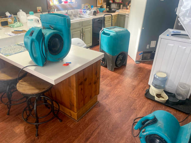 Best Basement water damage restoration  in , PA