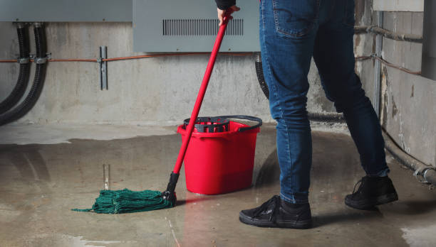 Best Water damage cleanup near me  in , PA