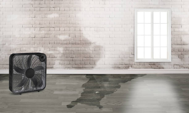 Best Residential water damage restoration  in , PA